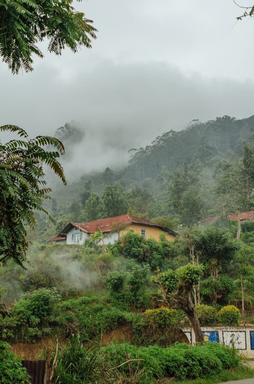 Превью Sri Lanka 2022